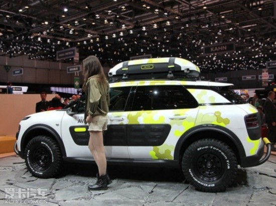 ѩC4 Cactus