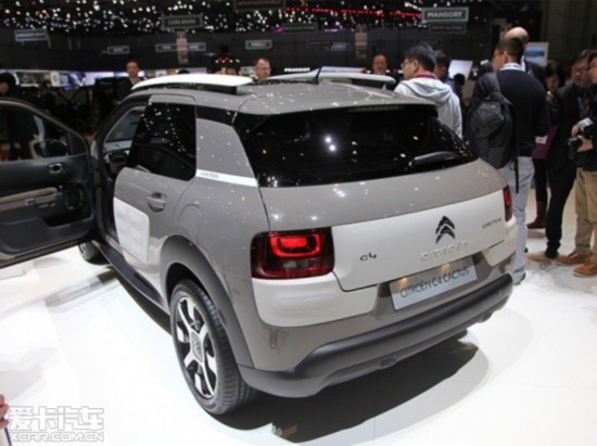 ѩC4 Cactus