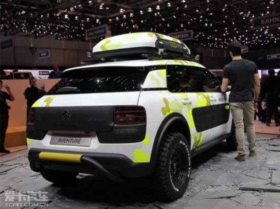 ѩC4 Cactus