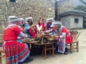 浙江新昌外婆坑村吃上民族团圆饭