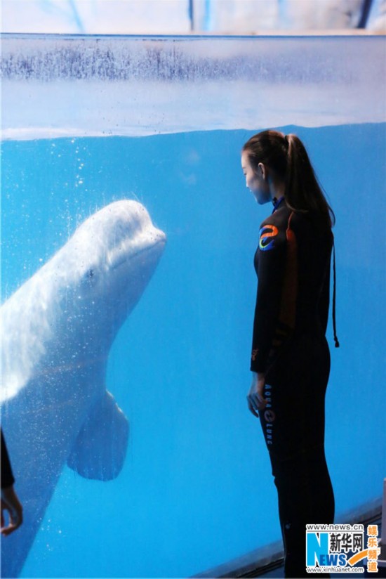 倪妮勇敢变身白鲸骑士 坐雪山过山车惊声尖叫