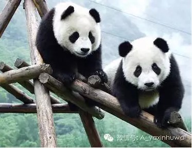 中国最美的10大自然遗产 有你的家乡吗？(图6)