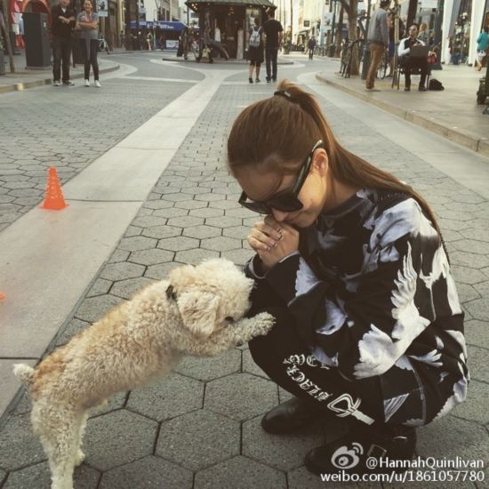  蔡依林王菲 李小璐贾乃亮 明星的春节造型盘点