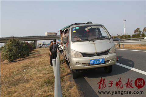 运猪货车盐城侧翻 78头二师兄满地撒欢