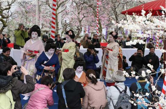 日本京都北野天滿宮梅花祭開幕 舞妓以茶待客