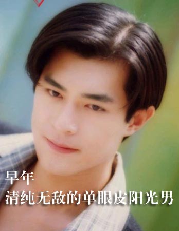 李敏镐黄晓明刘恺威林峰 男星整容比女星夺命