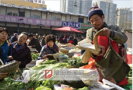 部分全国政协委员成阜阳卖菜叔粉丝