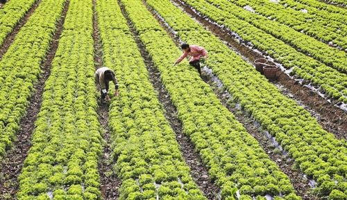 中信银行推香卡女神节