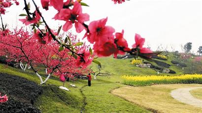 阳春三月百花开 成都赏花这边来