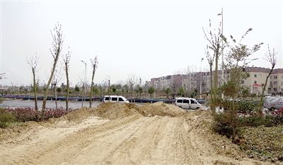 一個個豁口，把航海路生態廊道截成10多段