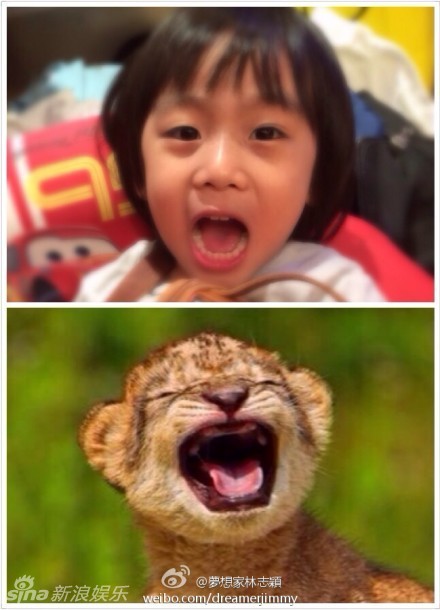  文章 加盟《远方的爸爸》系 炒作 文章 和节目方