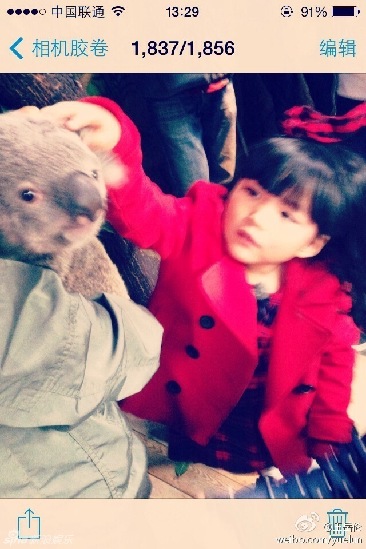  文章 加盟《远方的爸爸》系 炒作 文章 和节目方