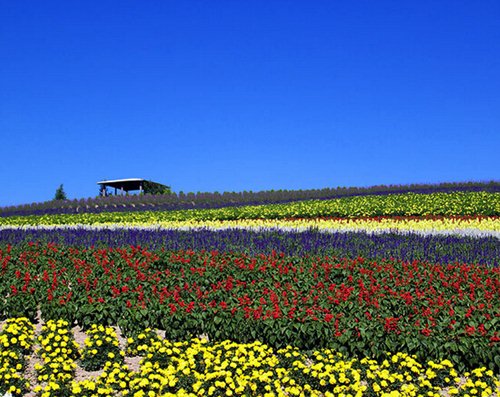黄晓明自曝年内迎娶Angelababy 盘点明星浪漫