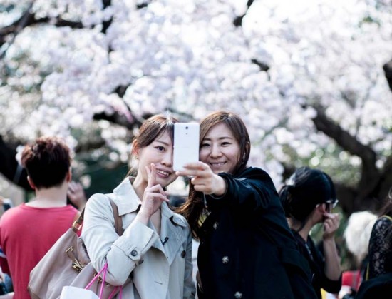 三月暮春 世界各地樱花烂漫时