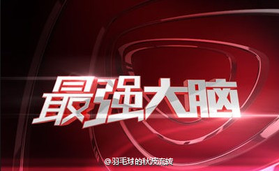 最强大脑中国战队1:3日本队 个中原因分析