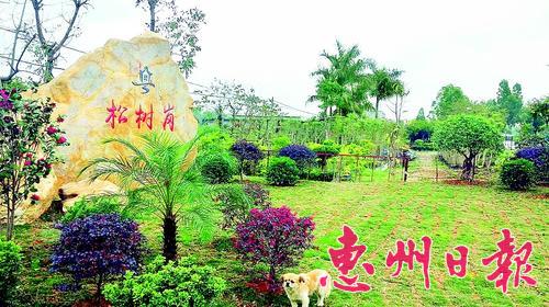 博罗县各镇gdp_博罗县地图各镇全图(3)