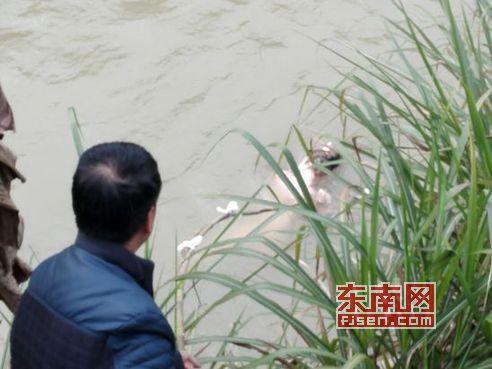 河面漂浮 女尸 民警奔波一夜 打捞发现是充气娃