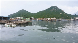 深圳海鲜码头_“渔人码头”亮福永空港之心“叹”海鲜