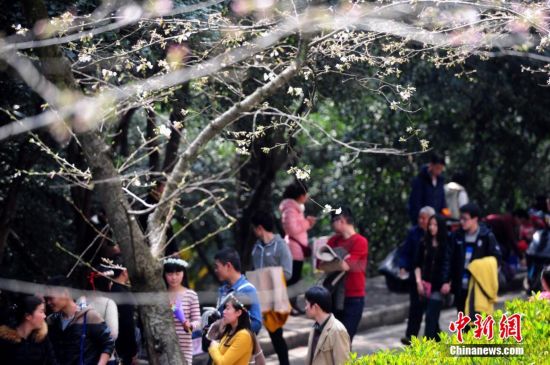 ���ӣ������ ���˷�������