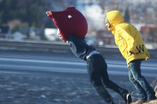 冰岛男子欲借助风力飞天不料竟闹笑话