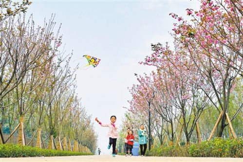 中央公车拍卖首现流拍 第二场拍卖平均溢价率