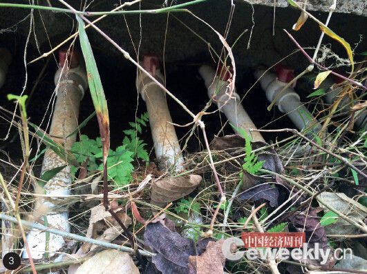 河水被污染，廣東和平縣和一村村民隻能用管子把山水引到山下使用。《中國經濟周刊》記者 崔曉林攝