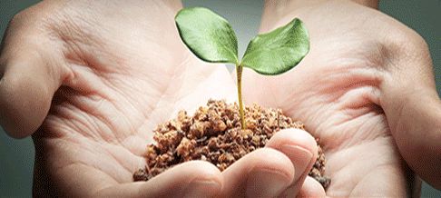 专业就业:十大未来最吃香的行业和职业