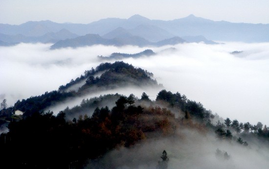 安康不但有油菜花 还有映掩云海的女娲山
