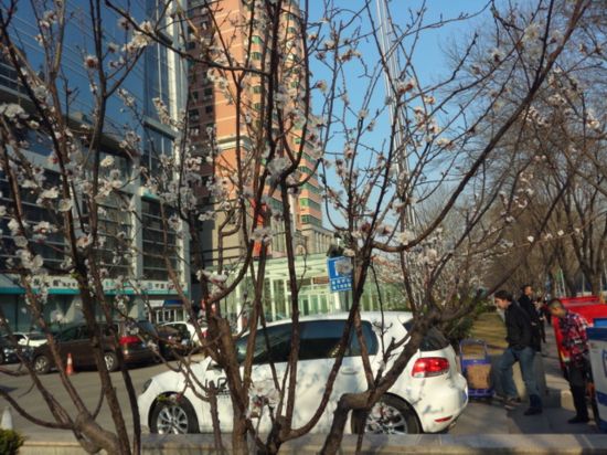 ��������ֵ���黳�� Moto X�Աȴ���T1 