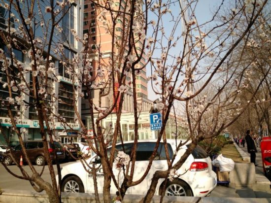 ��������ֵ���黳�� Moto X�Աȴ���T1 