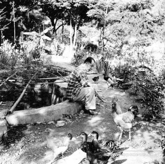 历史<em>照片</em>:张学良与<em>赵四小姐</em>台湾幽禁岁月