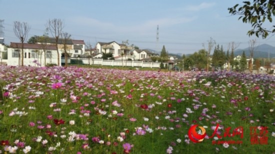 南京江宁汤山建设美丽乡村 打造旅游示范区