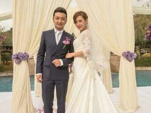 朱军鲁健水均益白岩松 盘点央视男主播娇妻