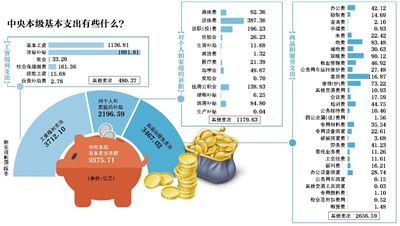 2015年中央预算公布 首晒工资福利支出--深度