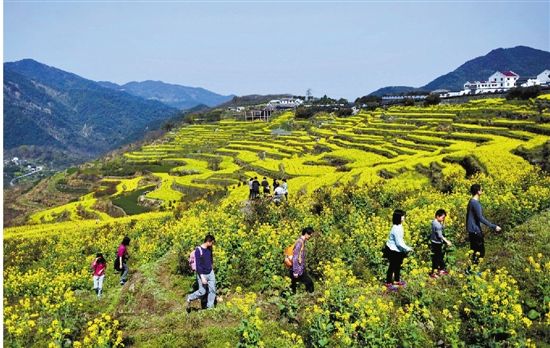 绍兴上虞 千年梯田醉游客