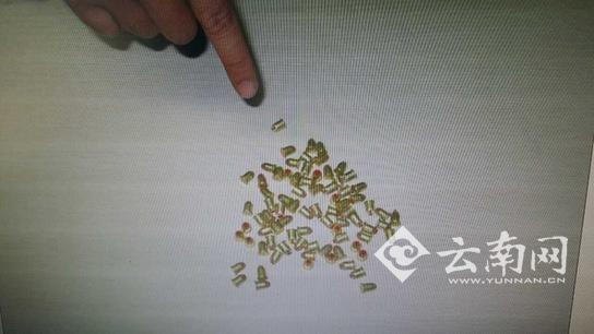 男子持射钉枪闹市抢金店只想抢个戒指送妻子当