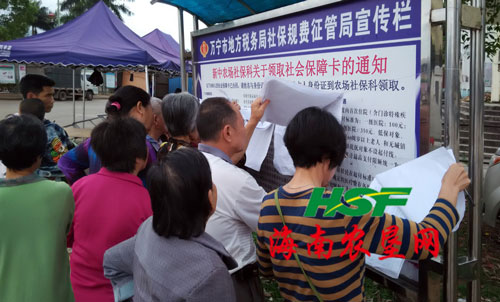 新中农场为3988名职工办理社会保障卡