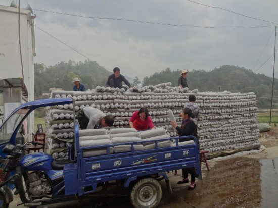 金寨县移民局以产业帮扶促精准扶贫