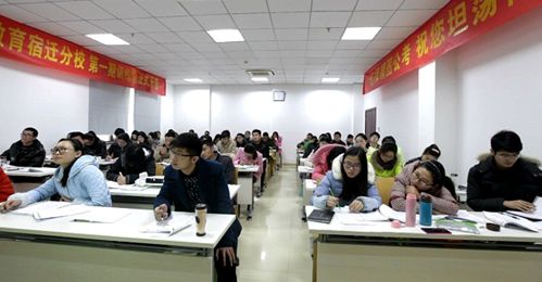 最美春景,江苏宿迁精图教育迎来桃李花开新纪