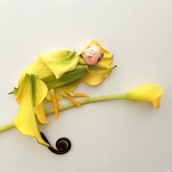 美艺术家心灵手巧用花瓣树叶创作精美拼贴画--安徽频道--人民网