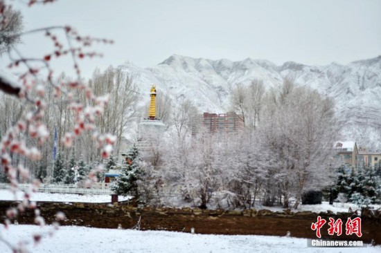 甘肃祁连山下雪后现雾?美景