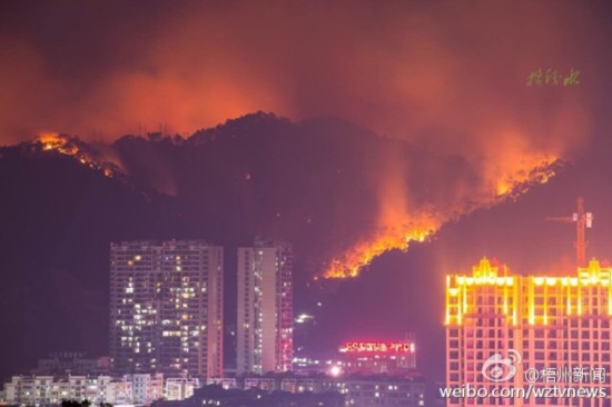 广西梧州突发山火 紧急转移190人(组图)