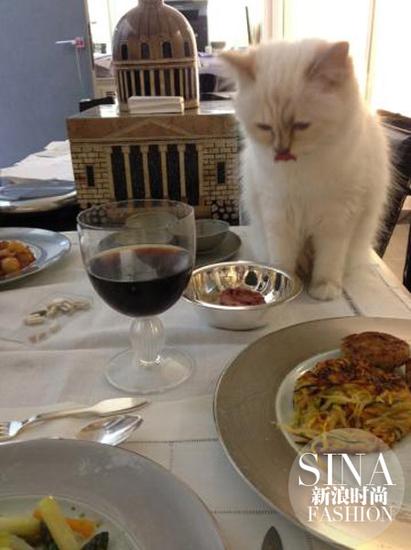 老佛爷爱猫年收入300万欧元 你们全村收入不如