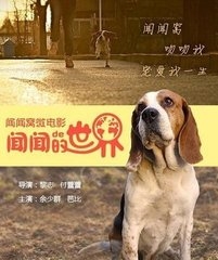 不止有忠犬八公 盘点关于狗狗的感人电影