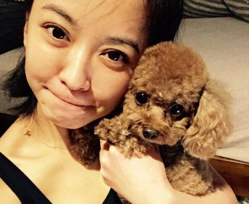 从素颜到红毯:刘诗诗陈意涵两版若曦谁更美?