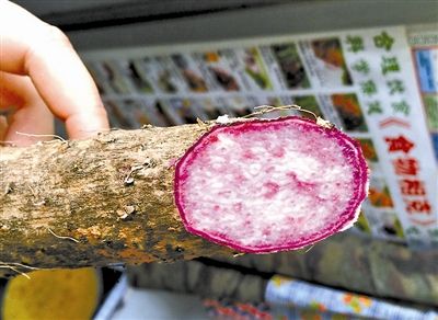 20元一斤有机紫山药进京 社区众享价 每斤16元