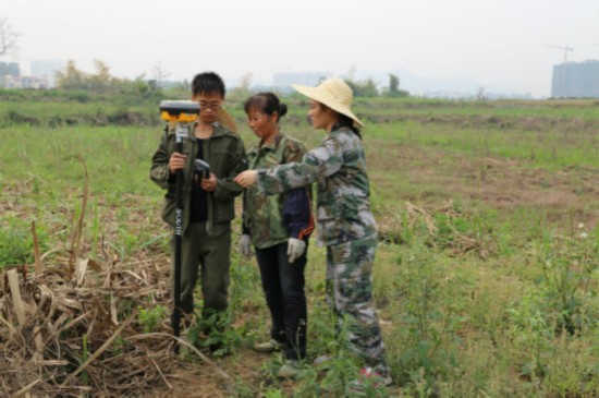 太平街道:强力推进城西片区征地工作