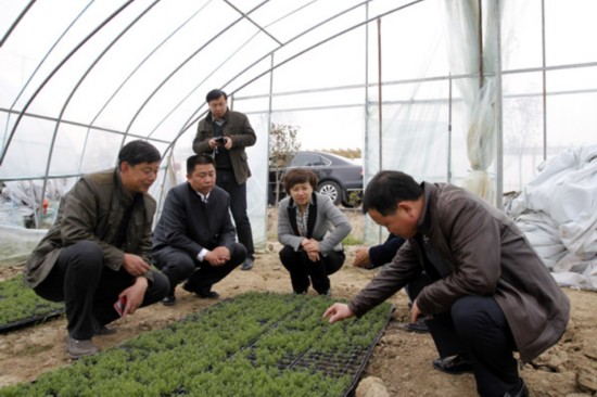 含山县县长田昕赴环峰镇调研现代农业发展情况