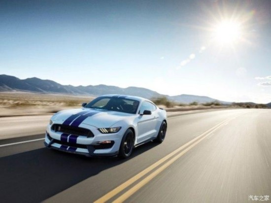 福特(进口) 野马 2015款 GT350 Shelby