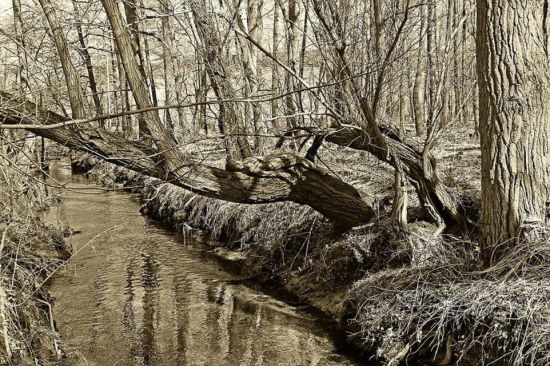 �������Ҳʻ�ģ�ء�����������